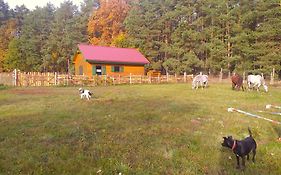 Agroturystyka Polana Harmonii